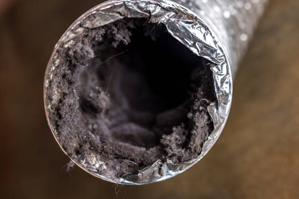 Best Dryer Vent Cleaning Services  in Gun Barrel City, TX